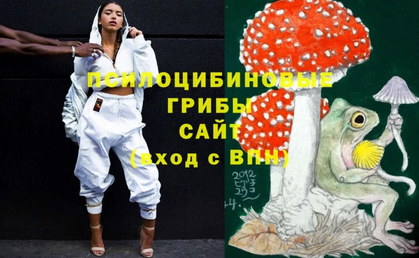 мдпв Валдай