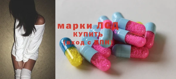 индика Новозыбков
