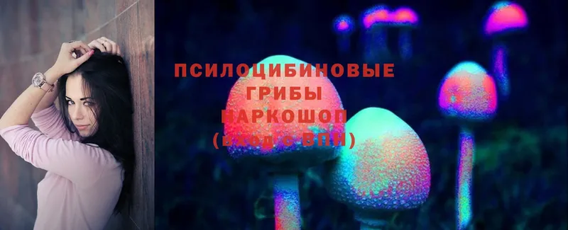 Галлюциногенные грибы Psilocybe  Ивантеевка 