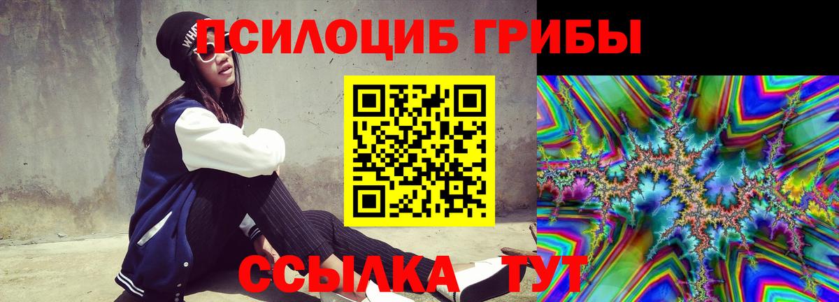 Галлюциногенные грибы GOLDEN TEACHER  Ивантеевка 