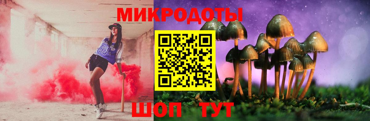 Псилоцибиновые грибы Cubensis  Вход с VPN  Ивантеевка 